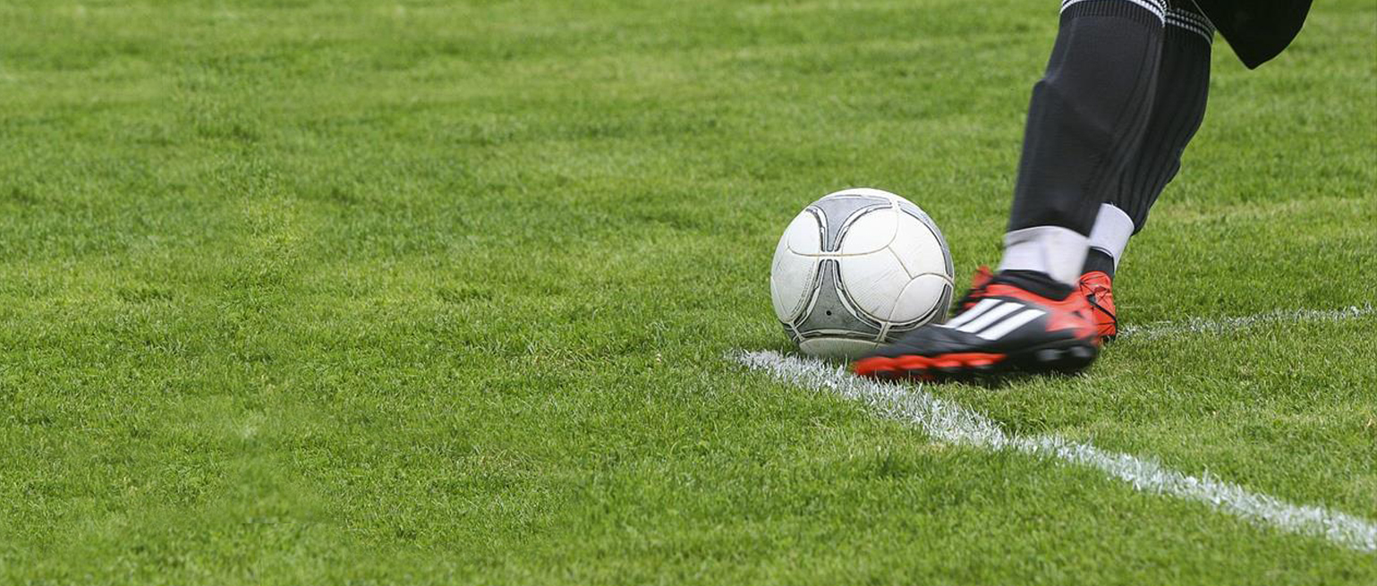 Dış mekan süs bitkileri